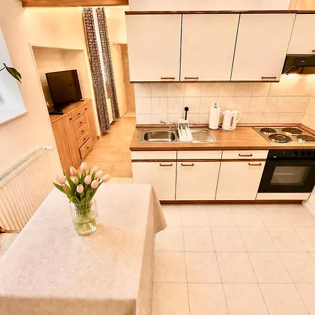 Apartman Am - Monteursunterkuenfte Am Rhein - 5 Unterkuenfte Mit Je Zwei Betten Lahnstein